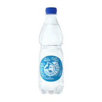 Viva con Agua Appenzell Mineral Laut 0.5l PET